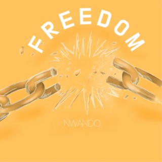 Freedom lyrics | Boomplay Music