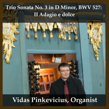 Trio Sonata No. 3 in D Minor, BWV 527: II Adagio e dolce | Boomplay Music