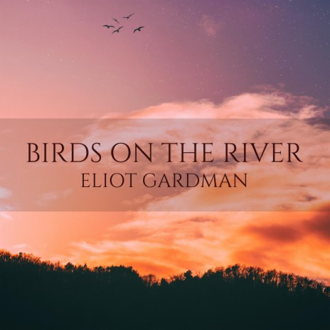 Birds on the River