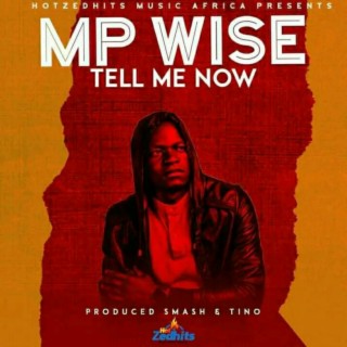 Mp Wise