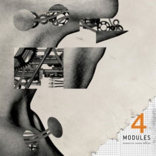 Modules 4