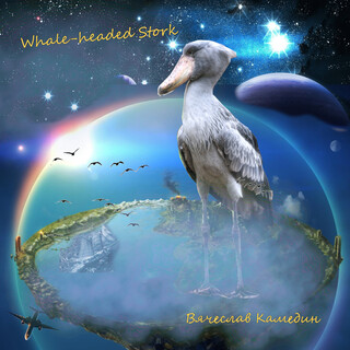 Whale-headed Stork