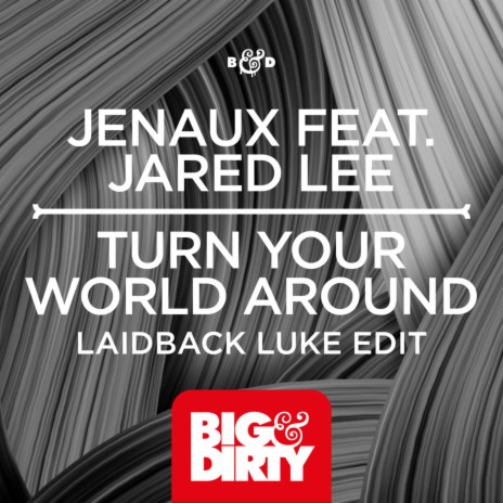 Turn Your World Around (Laidback Luke Edit) ft. Jared Lee | Boomplay Music