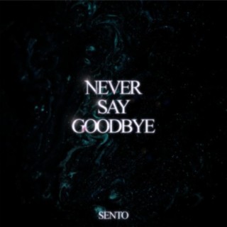 Never Say Goodbye