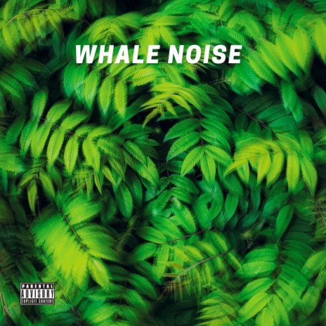 Whale Noise | Boomplay Music