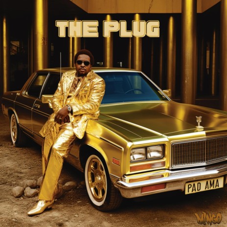 The Plug | Boomplay Music