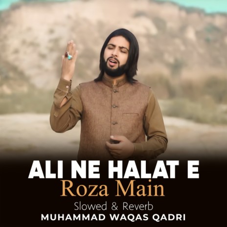 Ali Ne Halat e Roza Main Lofi | Boomplay Music