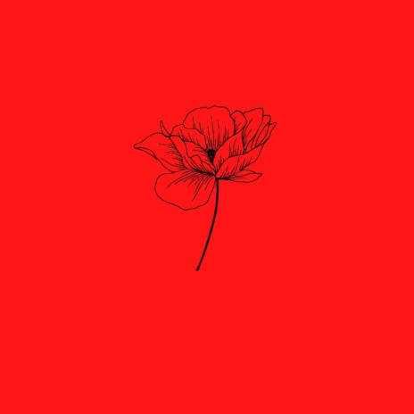 All In Bloom | Boomplay Music