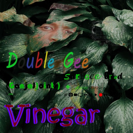 Vinegar | Boomplay Music