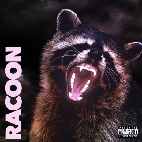 Racoon ft. Orso, Ko Gee, Leonidas & Amless | Boomplay Music