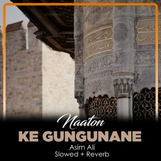 Naaton Ke Gungunane Lofi