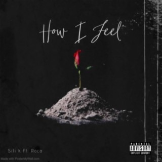 How I Feel (feat. Roca)