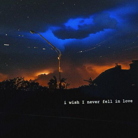 i wish i never fell in love | Boomplay Music