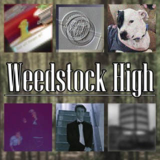 Weedstock High