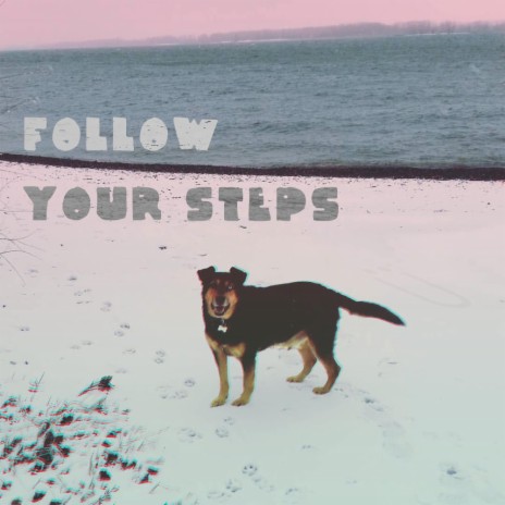 Follow Your Steps