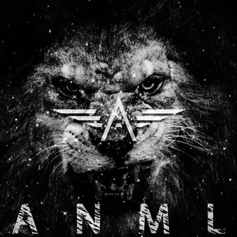 Anml | Boomplay Music