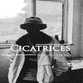 Cicatrices