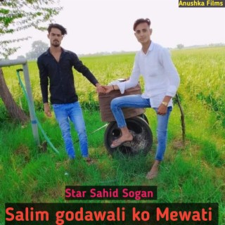 Salim godawali ko Mewati