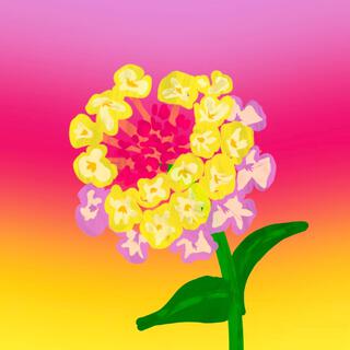 Lantana