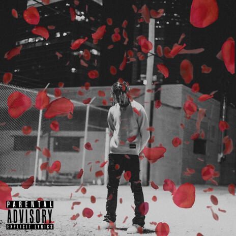 Rose Petals | Boomplay Music