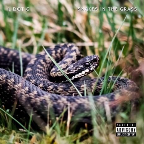 Snakes in the Grass | Boomplay Music
