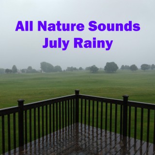 July Rainy