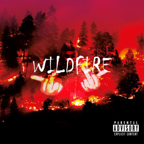 Wildfire