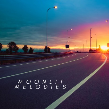 Moonlit Melodies | Boomplay Music