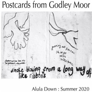 Postcards from Godley Moor, Summer 2020