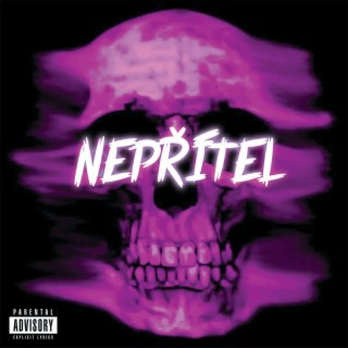 Nepřítel