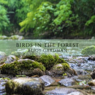 Birds in the Forest