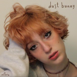 dust bunny lyrics | Boomplay Music