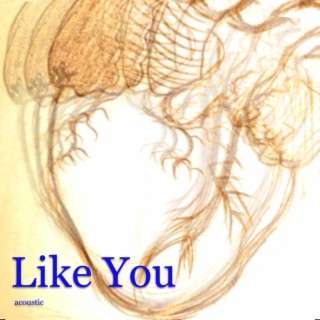 Like You (Acoustic Version) lyrics | Boomplay Music