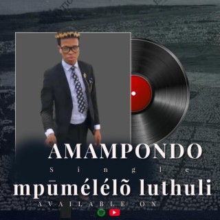 amampondo