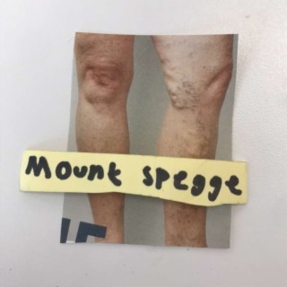 Mount Spegge