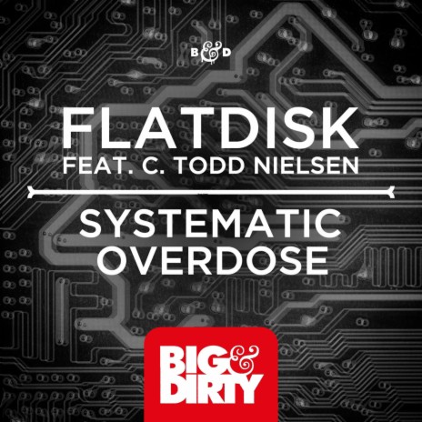 Systematic Overdose (Original Mix) ft. C. Todd Nielsen | Boomplay Music