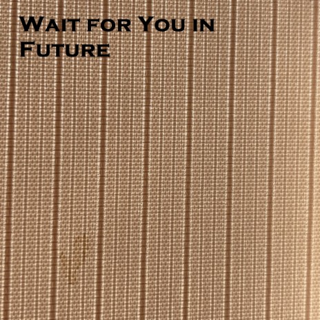 Wait for You in Future