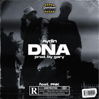 DNA ft. PNK lyrics | Boomplay Music