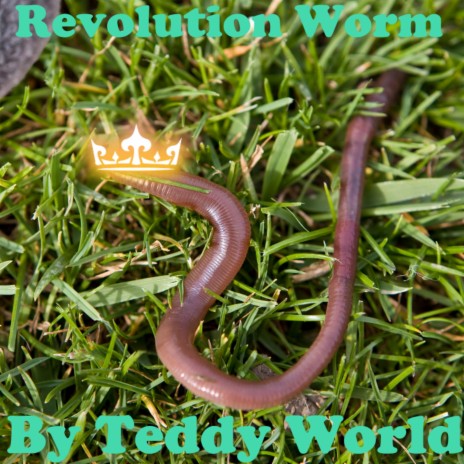 Revolution Worm | Boomplay Music