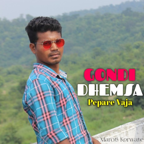 Gondi Dhemsa Instrumental | Boomplay Music