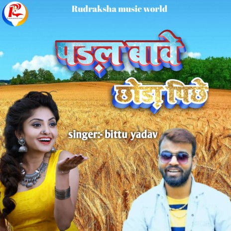 Padal Bawe Chhawada Pichhe | Boomplay Music