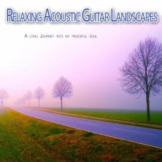 Relaxing Acoustic Guitar Landscapes: A long Journey into my peaceful soul