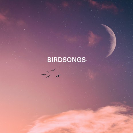 Birdsongs ft. Waywell | Boomplay Music