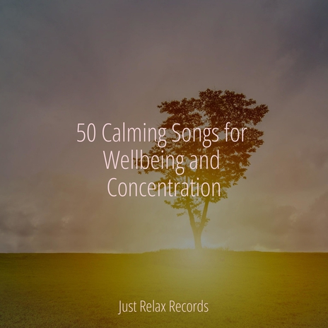 Soul's Path Home ft. Spa Relaxation & Spa & Rising Higher Meditation | Boomplay Music