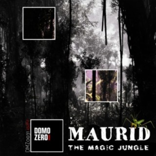The Magic Jungle 432Hz