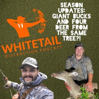 Season Updates: Giant Bucks and Four Deer From the Same Tree?!