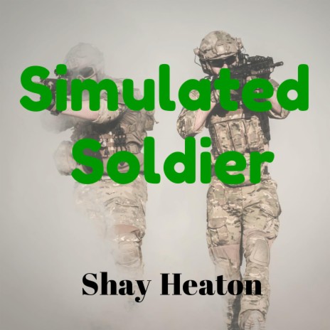 Simulated Soldier