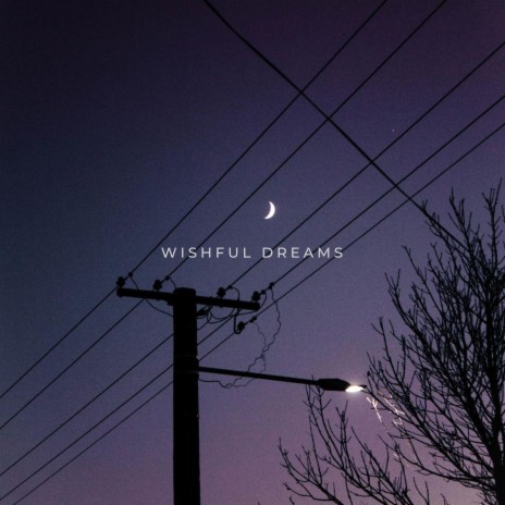 Wishful Dreams ft. no one's perfect
