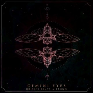 Gemini Eyes