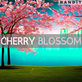 Cherry Blossom